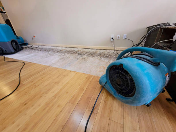 Professional Water Damage Repair technician working in Seaside, CA